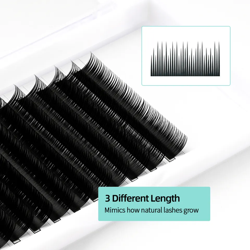 High_quality_korean_materials_0_07_D_curl_8_10_12mm_mix_length_camellia_eyelash_easy_fan_lash_extension_vendor_1691542853447_3.webp